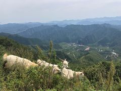 -白草畔自然风景区