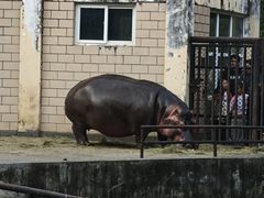 -合肥野生动物园