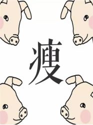 -Fundi张玉珊修身堂·indiba·BTL科技瘦身