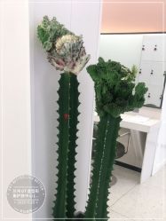 -兰州GT造型形象护肤中心