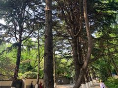 -青岛第二海水浴场