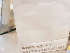 -WHEN PIGS FLY当猪飞
