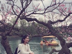 -秀丽东方