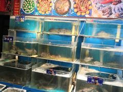 水产区-粥全粥到海鲜家常菜·海肠捞饭(嫩江路店)