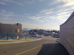 -青岛极地海洋世界-停车场