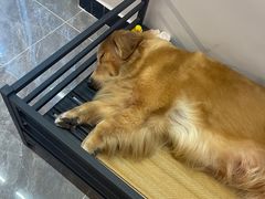 门面-大档(荔湾店)