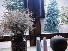 -一棵树·意大利西餐厅One Tree(新城店)