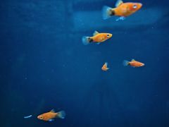 -南昌海洋公园