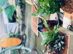 -Rabbit Cafe私房西餐甜点咖啡(栖霞路店)