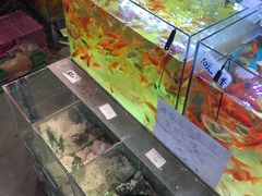 -大学城夜市大排档(凤栖路店)