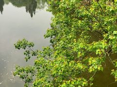 -韶山毛泽东同志故居