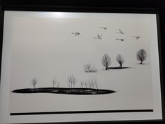 -罗红摄影艺术馆