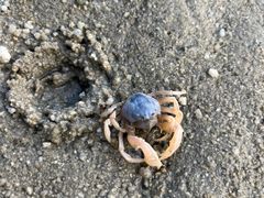 -北海金海湾红树林生态旅游区