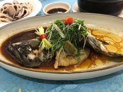 清蒸石斑鱼-御唐府海珊瑚主题餐厅