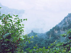 -太平万花山景区