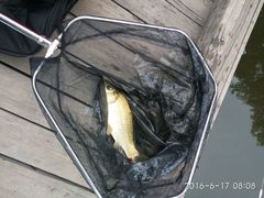 -酷鱼垂钓CLUB(朝阳区博大路店 )