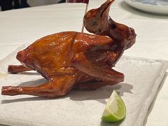 -侨美·唐荔园·40年地道粤菜