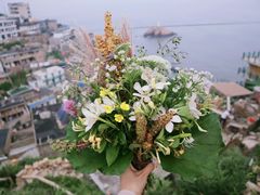 -东极岛景区