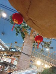 -卡通尼·Safari非洲探索乐园·生日会(金桥国际商业广场店)