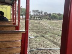 -歌斐颂巧克力小镇