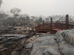 -莲花池公园