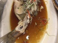 -九头鸟酒家(四道口店)