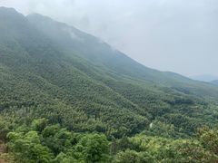 -水墨汀溪风景区