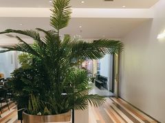 -卡朋西餐(铂顿城店)