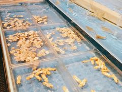 -常德武陵天济喜来登酒店-盛宴餐厅