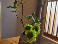 -青藤茶馆(凤起路店)