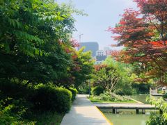 -青枫公园