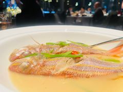 -金海华·悦食东方(苏州中心商场店)