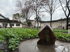 -绍兴鲁迅故里·沈园景区