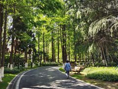 -苏州河梦清园环保主题公园