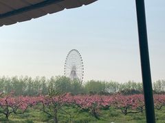 -扬州天乐湖嬉乐谷