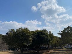 -龙寺生态园