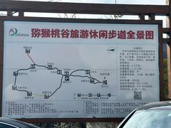 -大岭沟猕猴桃谷风景区