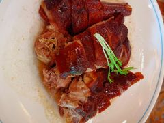 -椿记烧鹅(叠彩店)