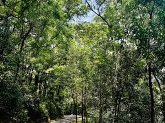 -广州市白云山风景名胜区