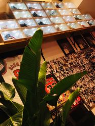 -MDZ STORE·TATTOO·耳饰