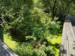 -西湖风景区-江洋畈生态公园