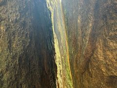 -长广溪湿地公园