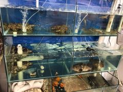 水产区-老闽味姜母鸭·煎蟹闽菜餐厅(曾厝垵地标店)