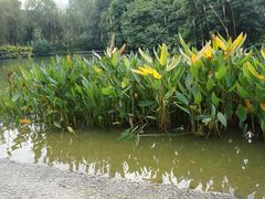 景点-广州珠江公园