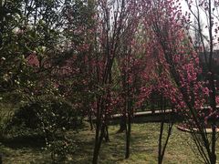 -贵阳市花溪国家城市湿地公园