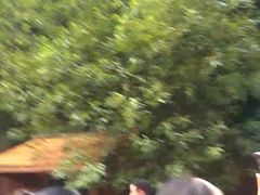 -赤水丹霞旅游区·佛光岩