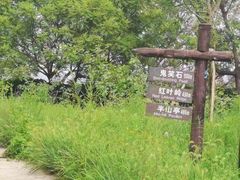 -北京西山国家森林公园