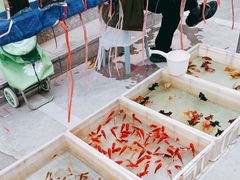 -华声天桥民俗文化园