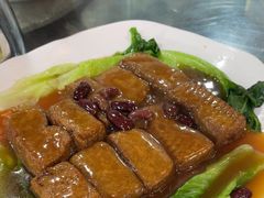 -东鸽皇(奥园·中环广场店)