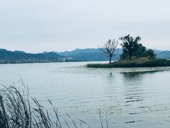-怀来官厅水库